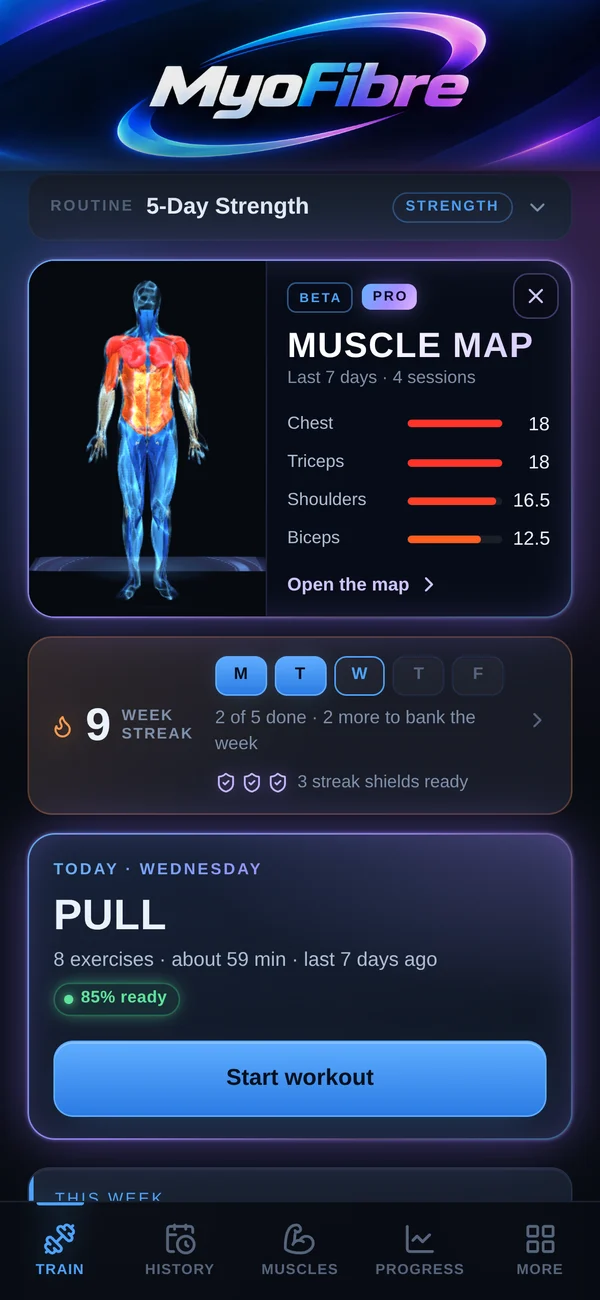 Today's workout, your week and a live muscle map